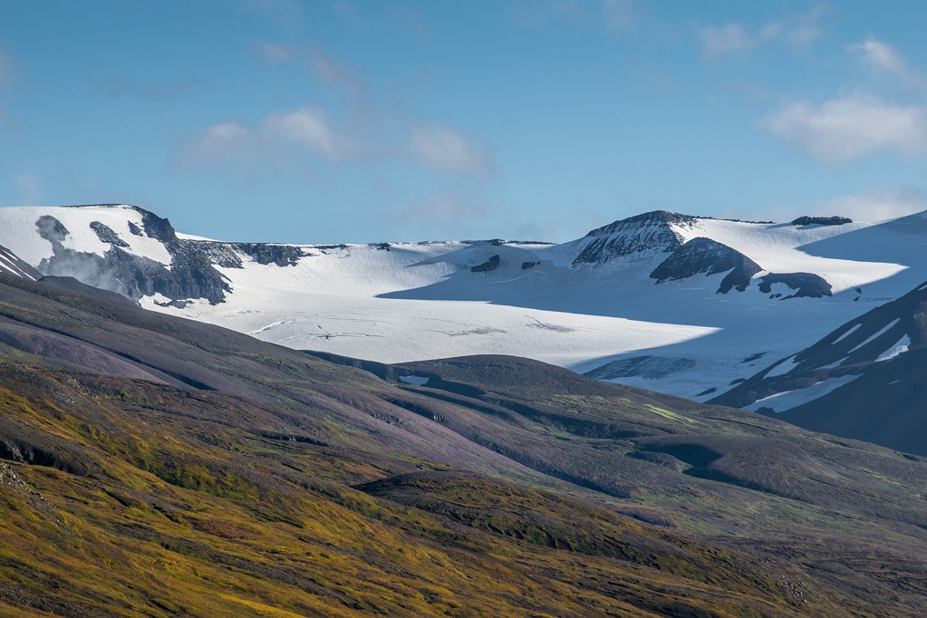 _DSC0260
