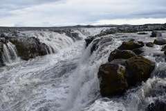 DSC_0076-glufrasmidur