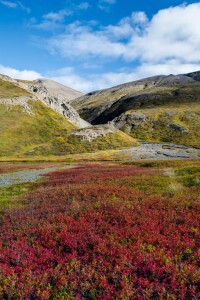 _DSC0177
