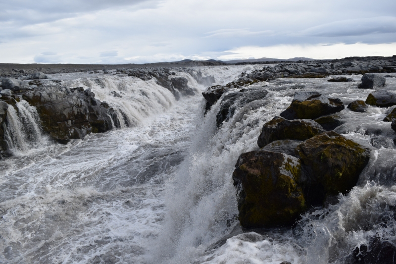 DSC_0076-glufrasmidur